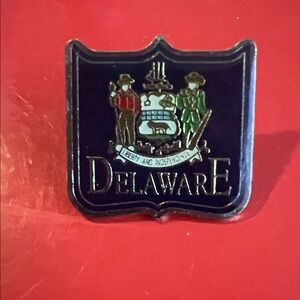 Delaware State Crest Pin
